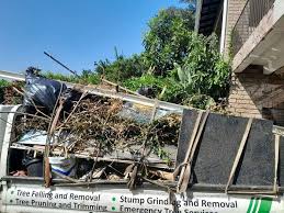 Best Shed Removal  in Dexter, OR