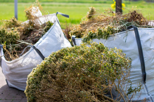 Best Garage Cleanout  in Dexter, OR